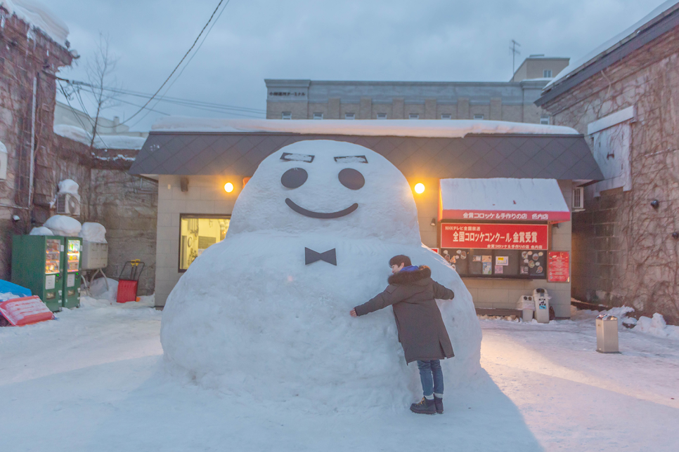 일본여행준비물 1월 홋카이도 여행계획 삿포로여행 렌트카, E심, 여행자보험