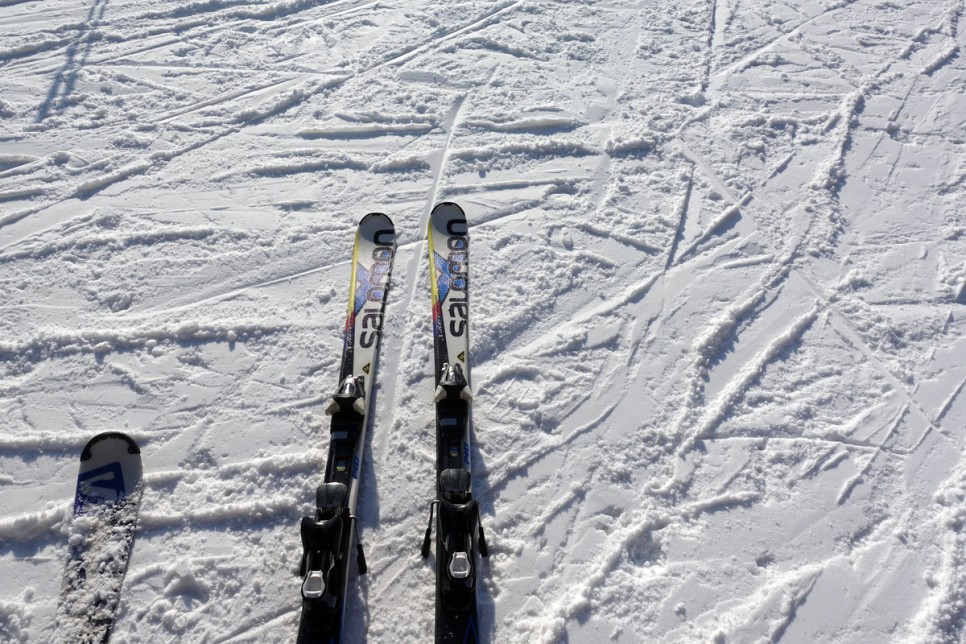 웰리힐리파크 스키장 렌탈샵 스키강습 후기