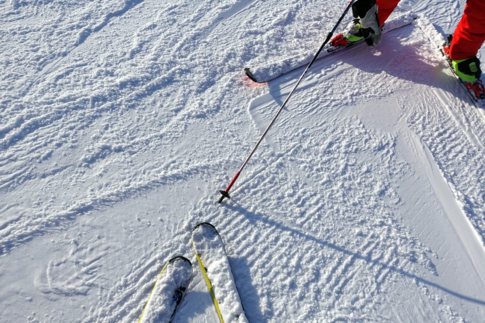 웰리힐리파크 스키장 렌탈샵 스키강습 후기