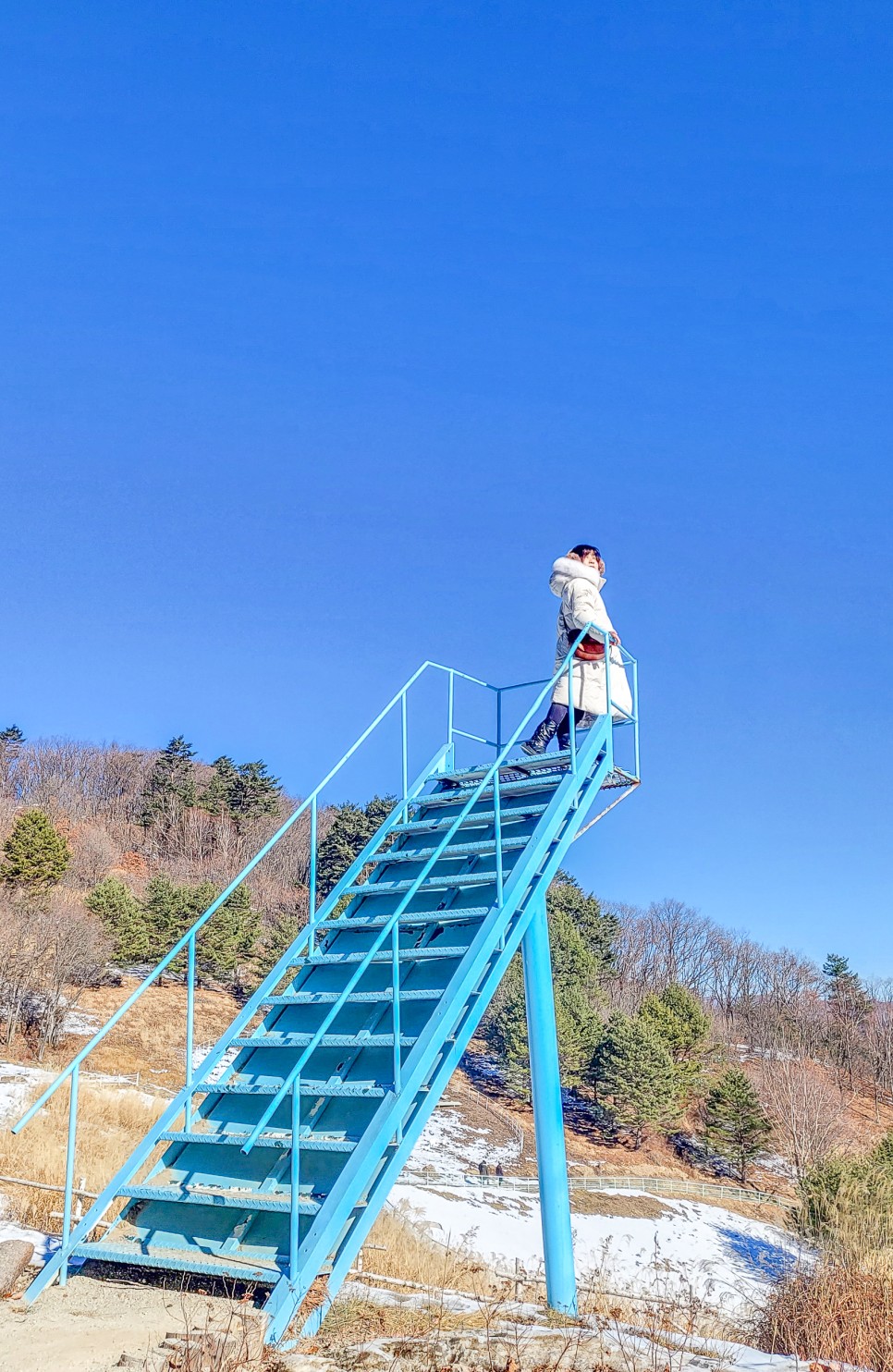 평창 용평가볼만한곳 용평리조트 애니포레 알파카농장 가문비 치유숲 힐링여행