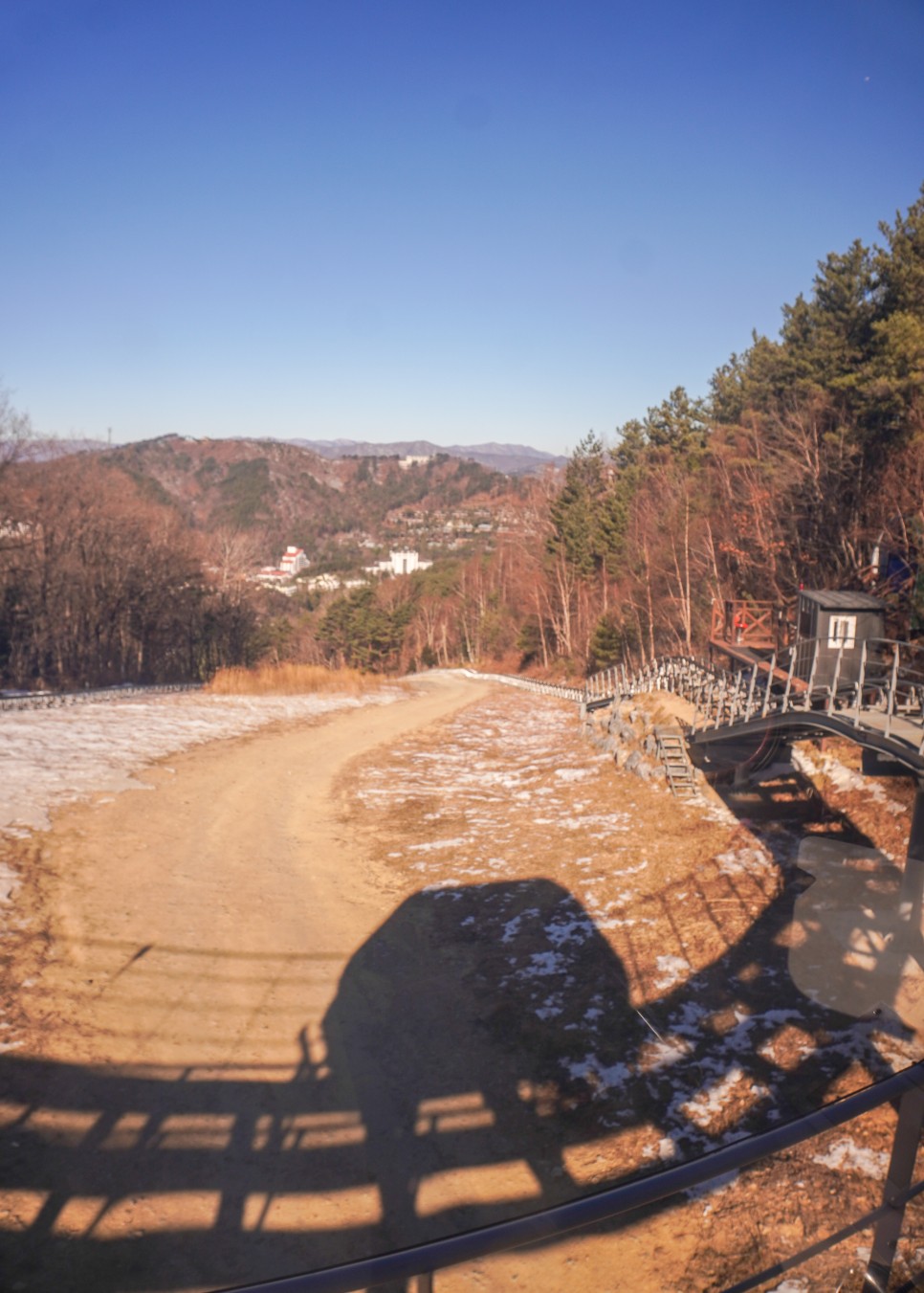 평창 용평가볼만한곳 용평리조트 애니포레 알파카농장 가문비 치유숲 힐링여행