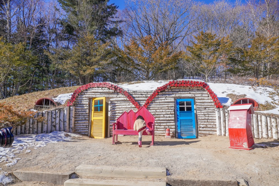 평창 용평가볼만한곳 용평리조트 애니포레 알파카농장 가문비 치유숲 힐링여행