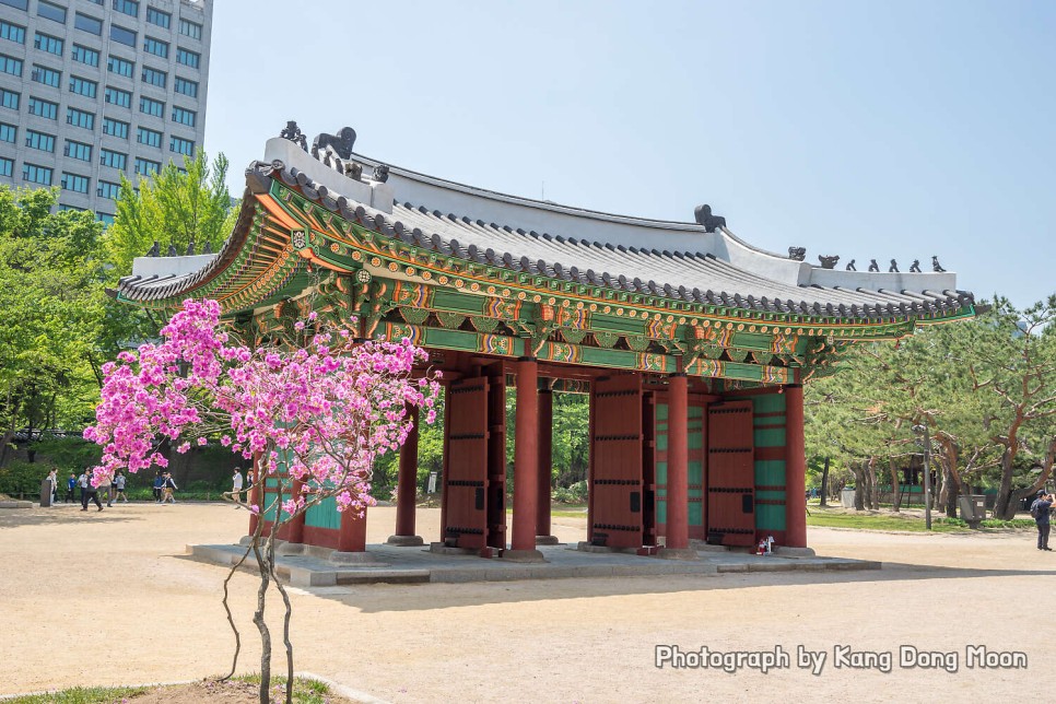 서울 가볼만한곳 시내 여행코스 덕수궁 한강공원 어린이대공원 나들이 서울갈만한곳