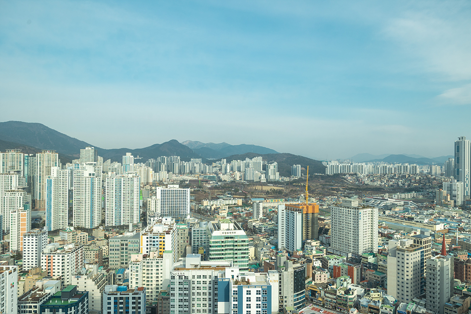 부산 호텔 추천 서면 롯데호텔 부산 호캉스 온수풀 수영장 풀바 오픈