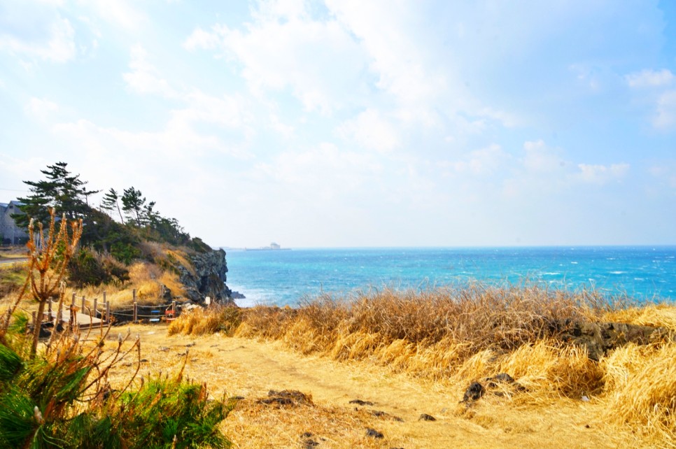 제주 애월 가볼만한곳 제주도 겨울여행 제주 올레길 코스