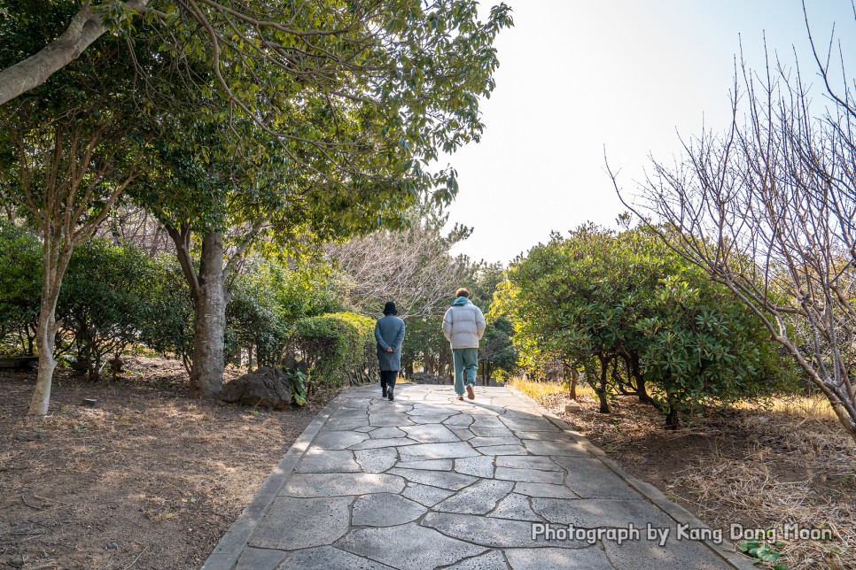 제주도 남쪽 코스 제주 서귀포 가볼만한곳 제주 중문관광단지 볼거리 대포 주상절리