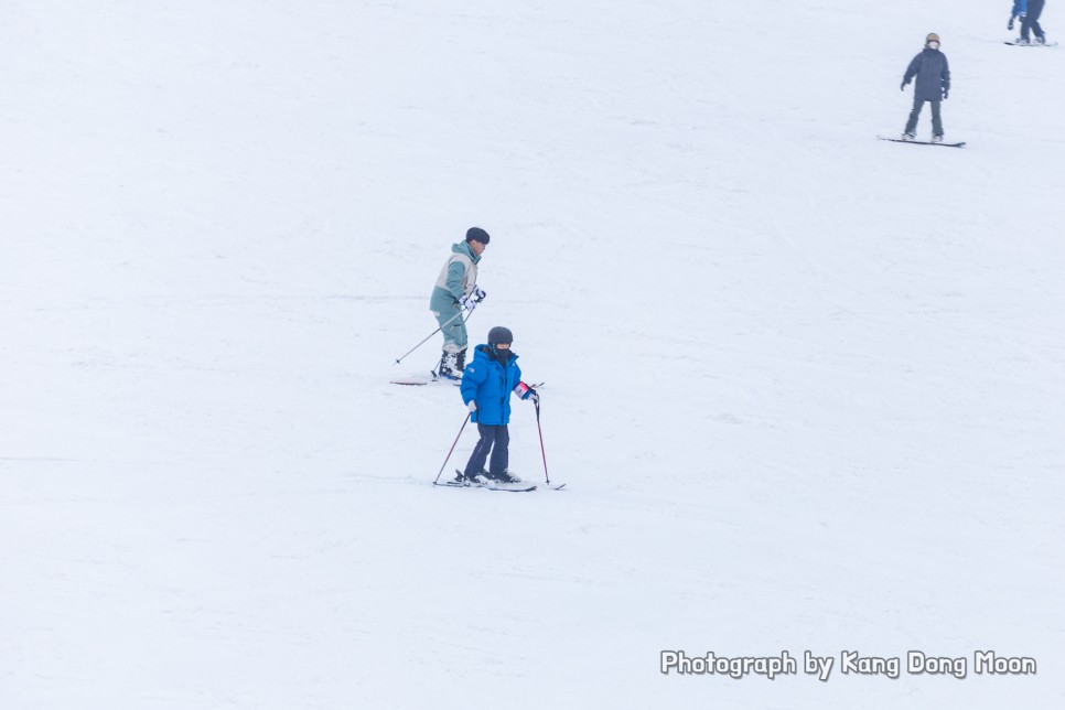 홍천 비발디파크 스키강습 하얀 강원도 스키장 즐겨요