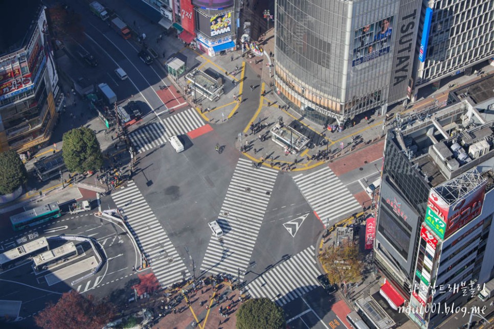 도쿄 가볼만한곳 시부야 쇼핑 맛집 파르코 시부야점