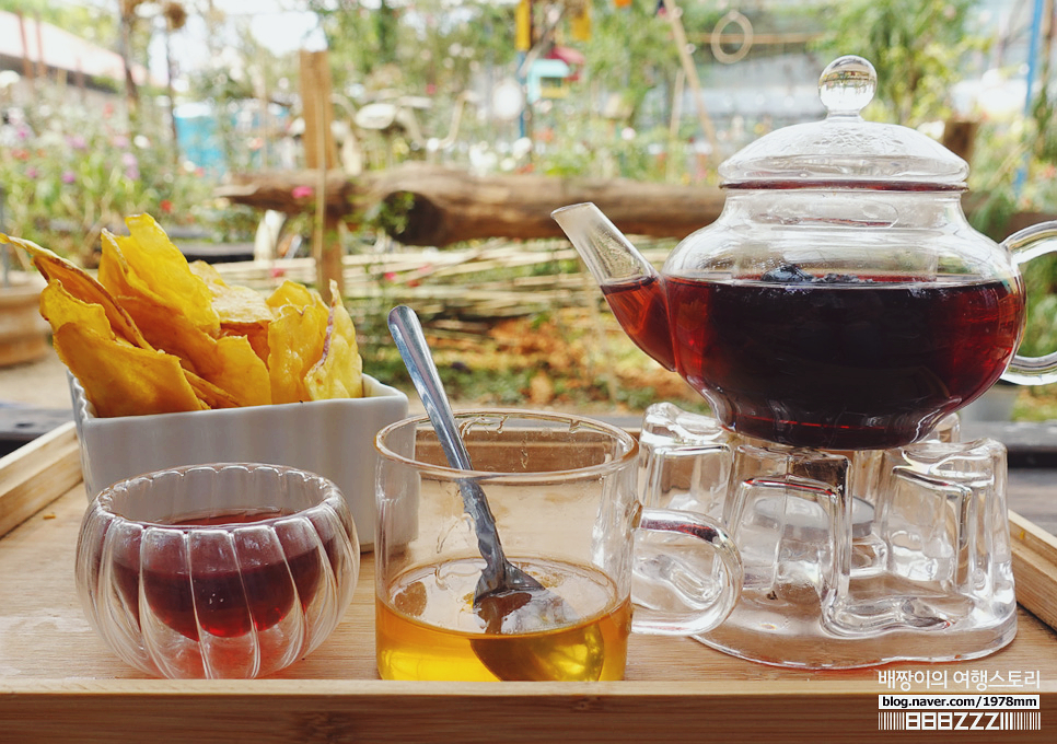 베트남 달랏여행지 추천코스 실제 나혼산 가볼만한곳 경비 날씨 + 팜유 달랏항공권