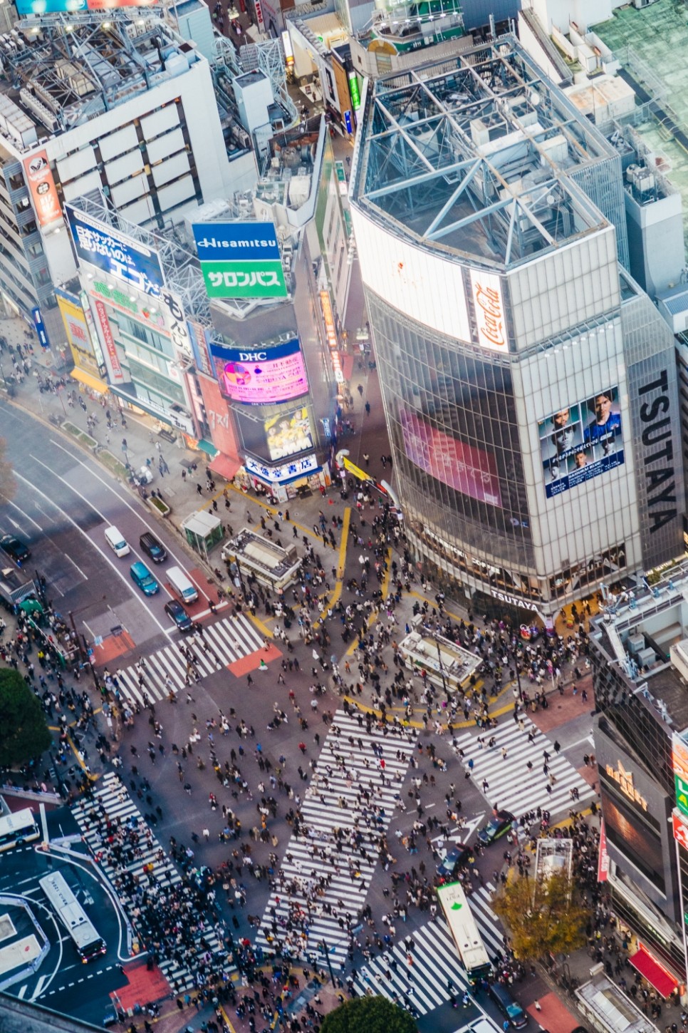 일본 도쿄 여행 가볼만한곳 시부야 스카이 전망대 입장권 예약 6% 할인, 시간