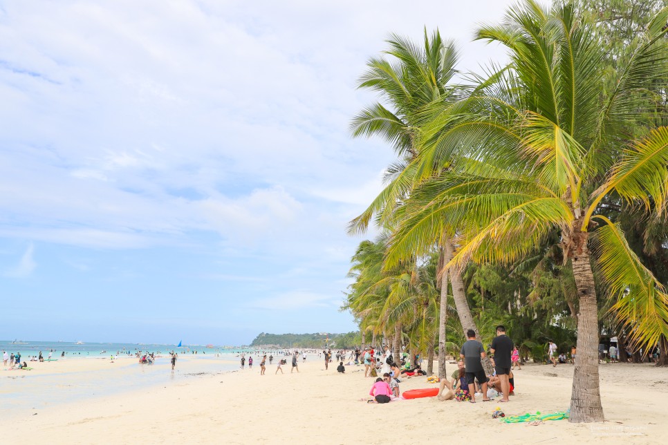 필리핀 여행 입국 서류 이트래블 작성법 필리핀섬 보라카이 준비물