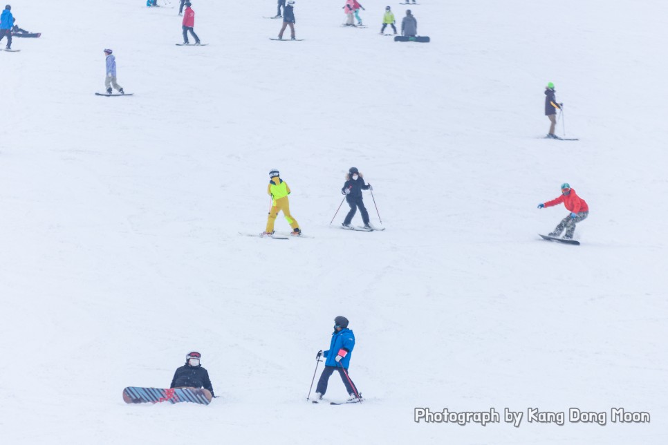 홍천 비발디파크 스키강습 하얀 강원도 스키장 즐겨요
