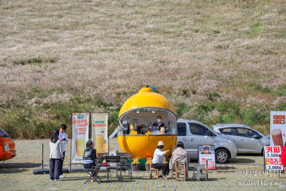 제주도 아이와 가볼만한곳 제주도 가족여행코스