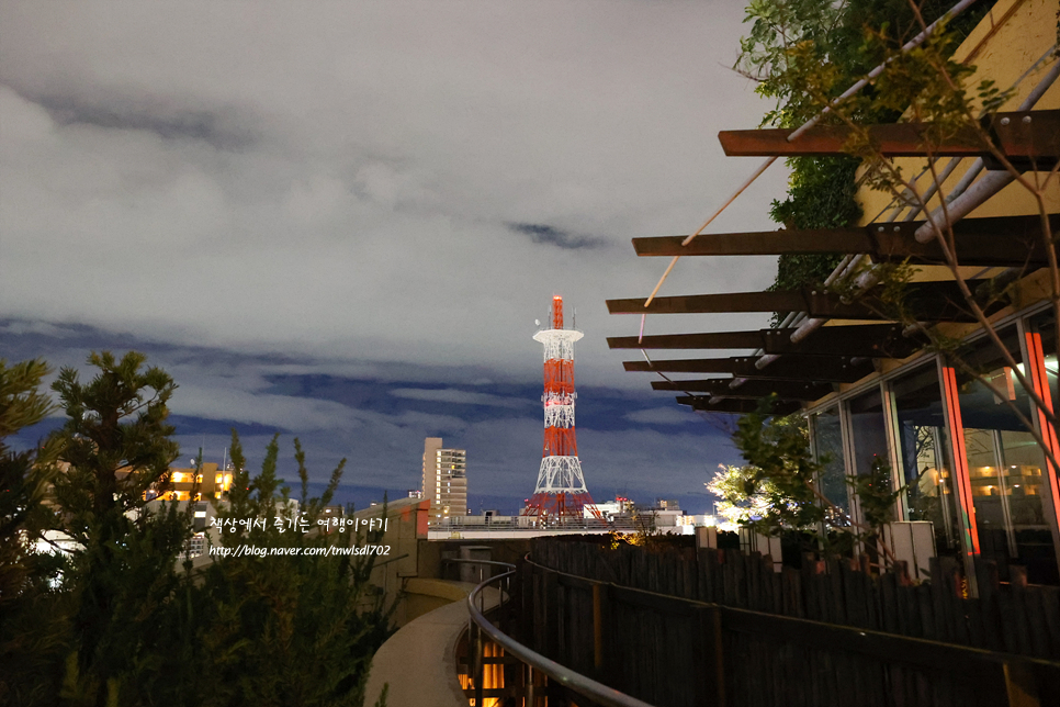 일본 오사카 가볼만한곳 난바 파크스 야경 명소