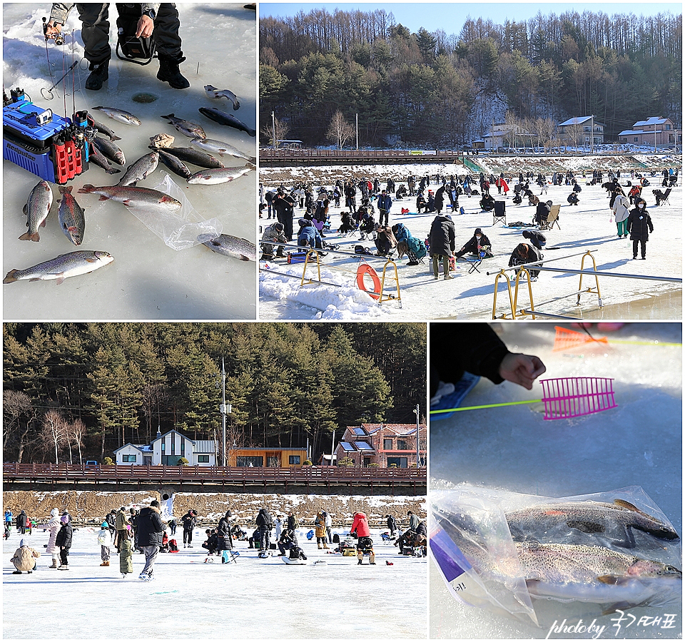 강원도 겨울축제 국내 겨울 여행지 추천 평창송어축제