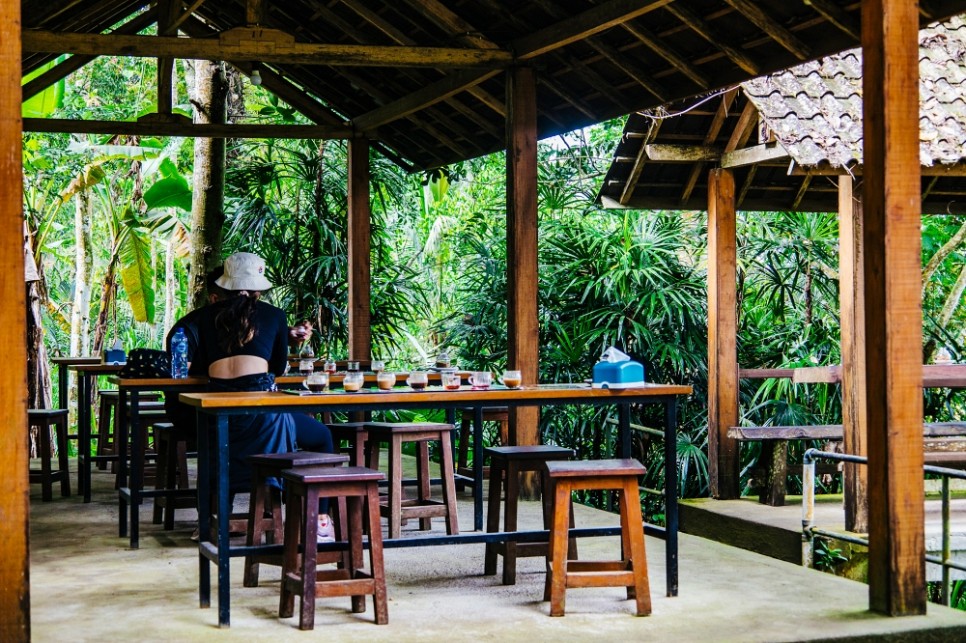 동남아시아 인도네시아 여행 발리 바투르산 알렝콩 지프 일출 우붓 커피 농장