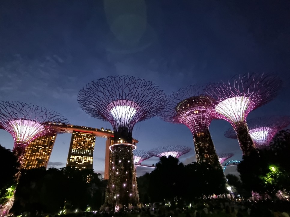 싱가포르 여행 가볼만한곳 가든스바이더베이, 플라이어, 주롱새공원