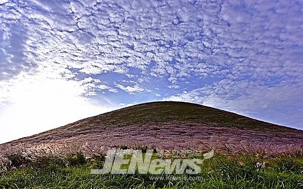 “환경 생각하는 친환경 축제..희망드림 축제! 2023 제주들불축제 대면축제로 개최”