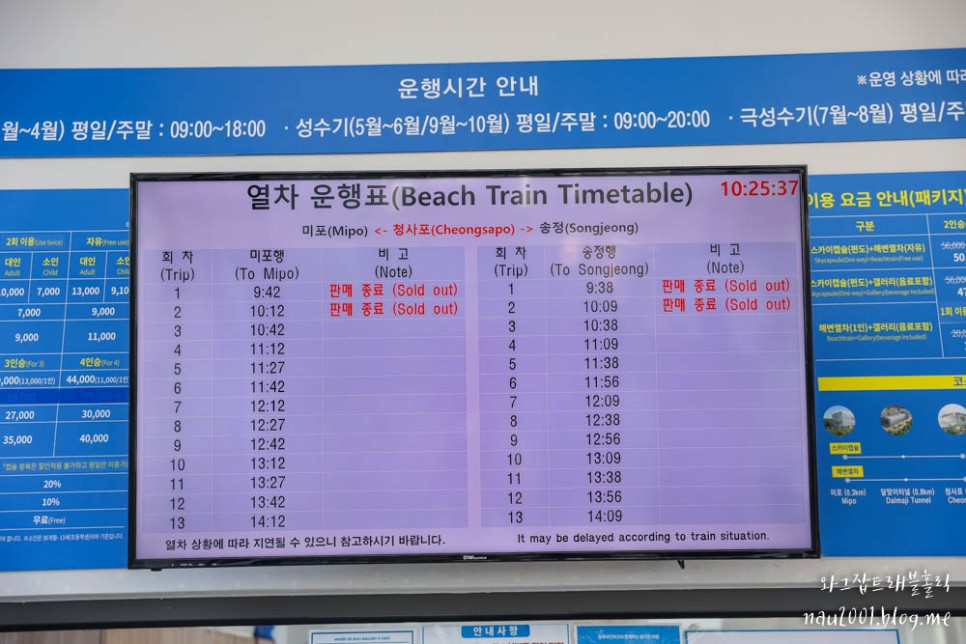 부산 해운대 블루라인파크 할인예약 스카이캡슐 해변열차 후기