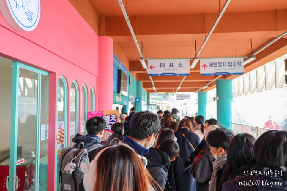 부산 해운대 블루라인파크 할인예약 스카이캡슐 해변열차 후기