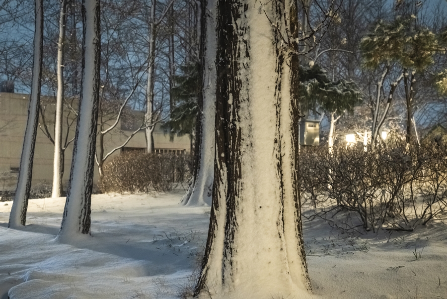 니콘 풀프레임 미러리스 카메라 Z5, 눈 내리는 밤 설경 담아보기