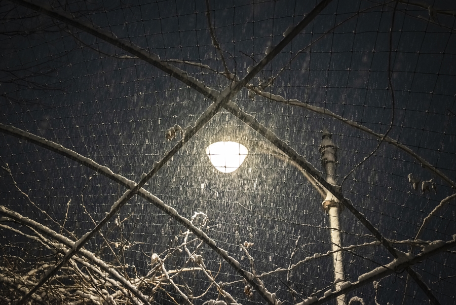 니콘 풀프레임 미러리스 카메라 Z5, 눈 내리는 밤 설경 담아보기