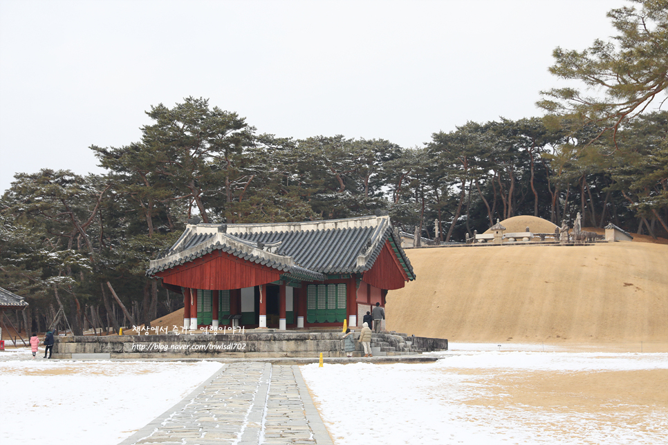 여주 여행 가볼만한곳 여주영릉 세종대왕릉 입장료,시간,주차