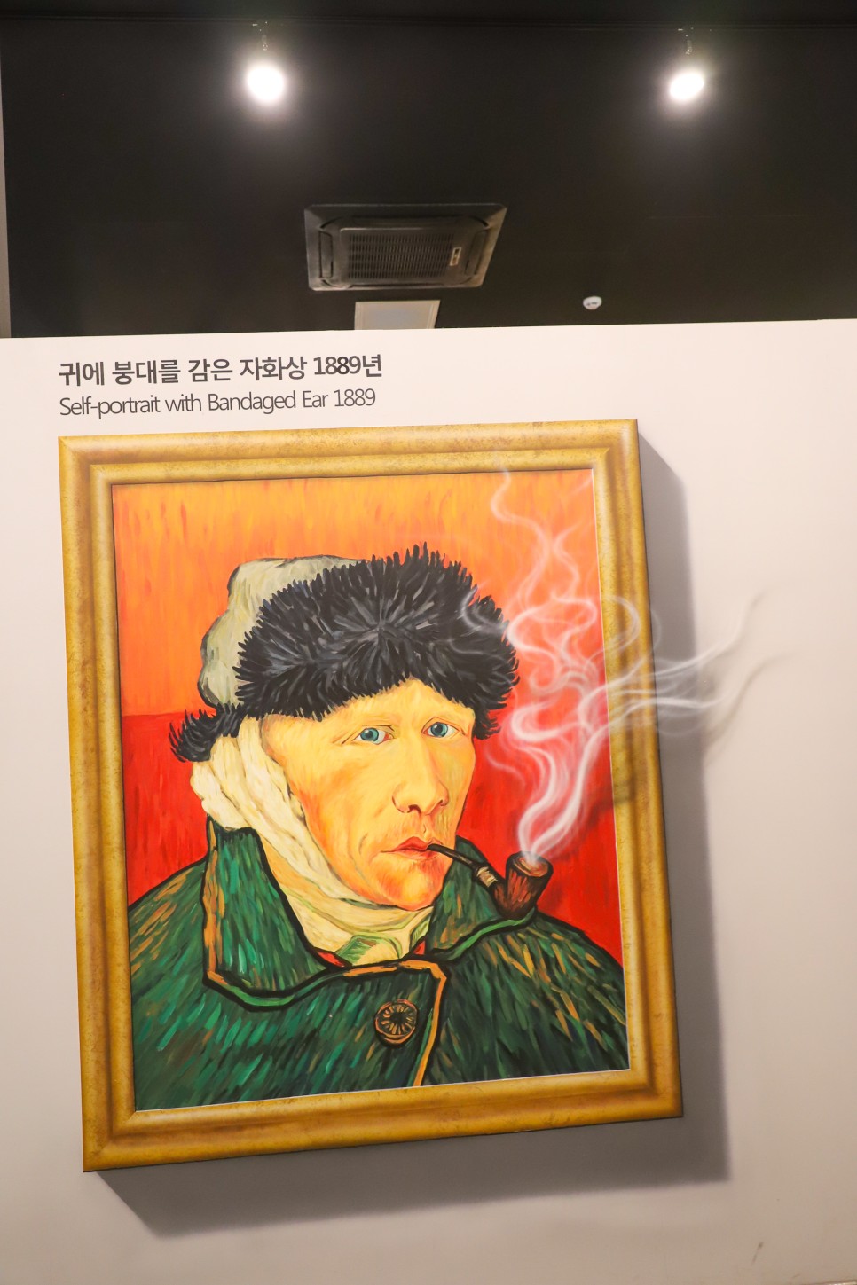 제주 성산 가볼만한곳 섭지코지 유채꽃 명소 무료 유채꽃밭