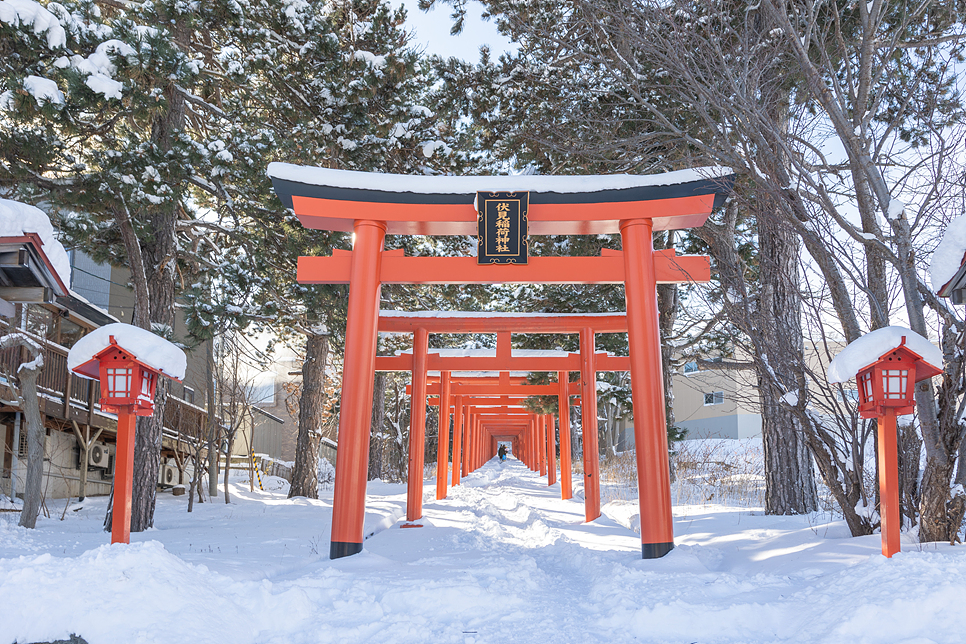 일본 겨울 홋카이도 삿포로 여행 노면전차 타고 가볼만한곳들