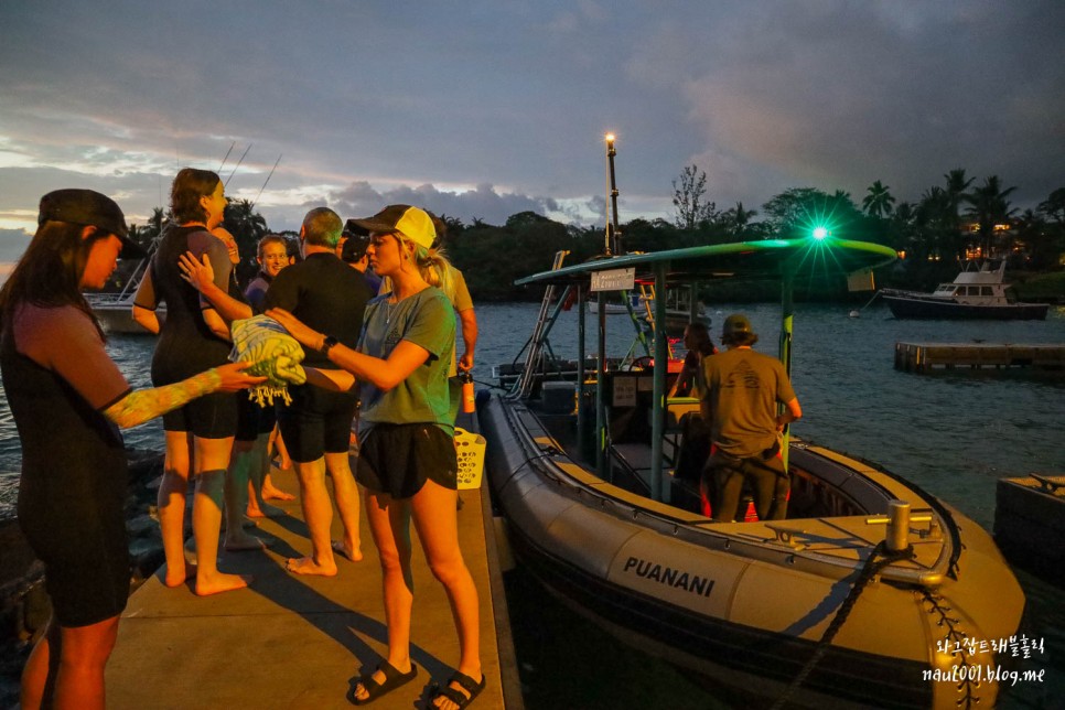 하와이여행 빅아일랜드 헬리콥터 예약 만타레이 스노쿨링 투어후기