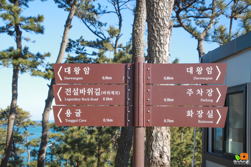 울산 가볼만한곳 울산 대왕암공원 출렁다리 산책로 울산 드라이브 코스