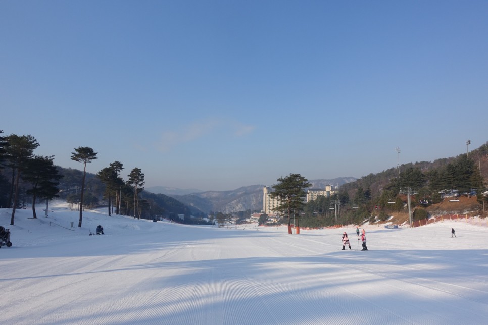 오크밸리 리프트권 스키장 이용 팁