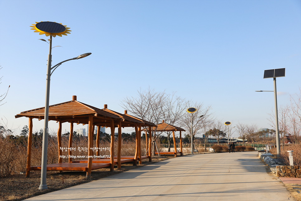 인천 청라 가볼만한곳 청라호수공원 겨울풍경,놀거리,주차