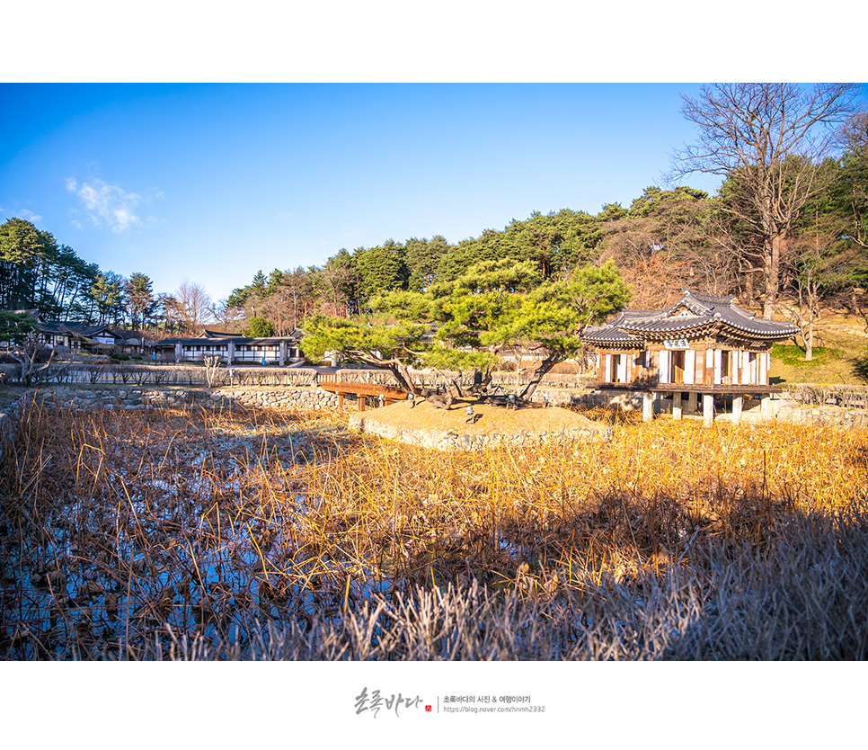 강릉 여행 명소 볼거리 강릉 선교장 관광지 데이트 코스