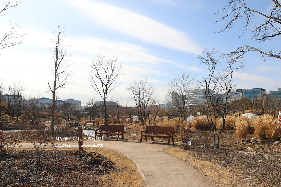 서울 겨울 실내 데이트 마곡 서울식물원 입장료,주차장