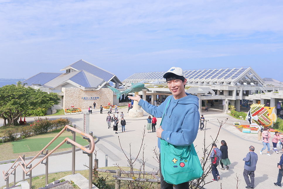 일본여행추천 오키나와 자유여행 필수 츄라우미수족관 즐기기