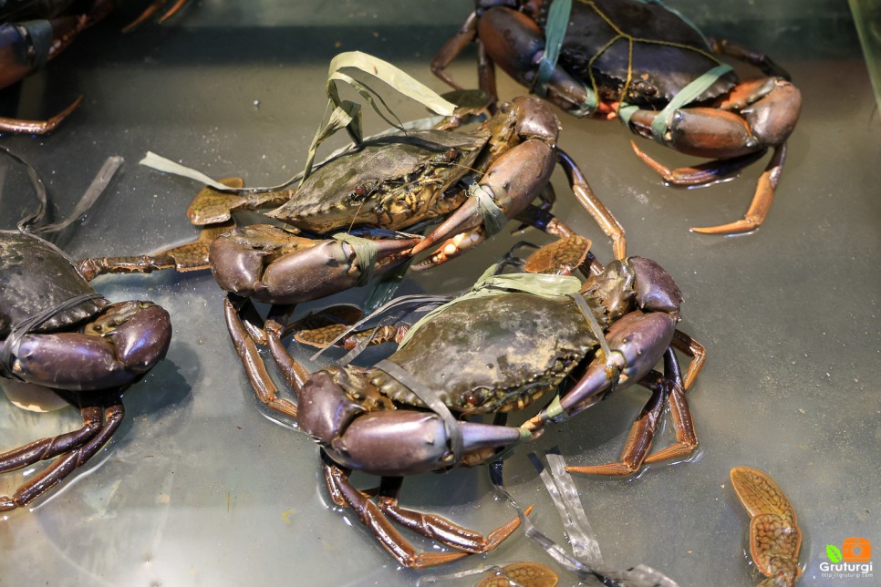 필리핀 보라카이 맛집 디몰 근처 레드크랩