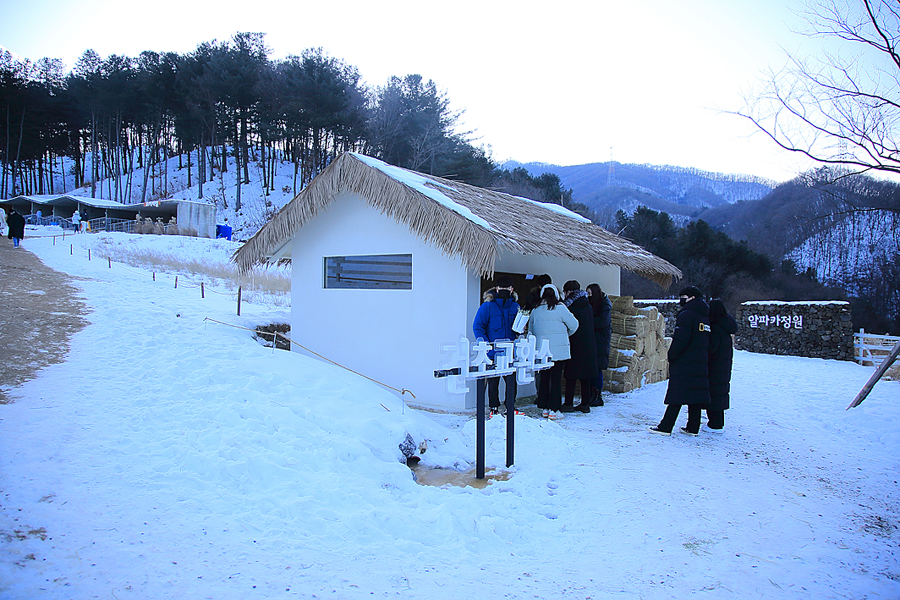 주말 서울근교 갈만한곳 당일치기여행 드라이브코스 서울근교 경기도 주말나들이 가평 양떼목장