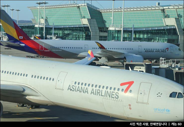 뉴욕 여행 준비 아시아나항공 후기 미국 입국 심사 JFK 공항 셔틀버스