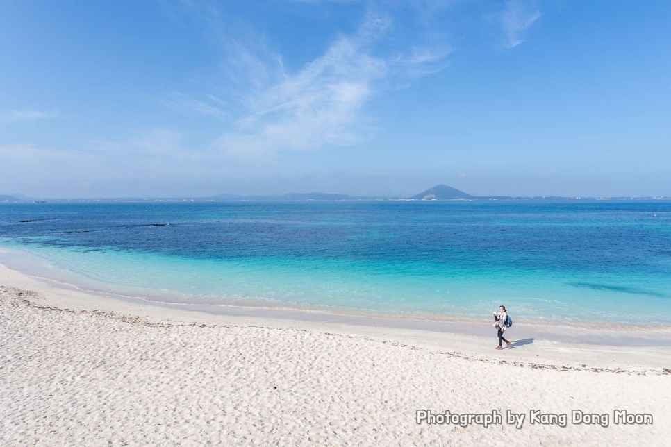 제주도 동쪽 코스 사려니숲길 쇠소깍 우도 서빈백사 제주 동쪽 가볼만한곳 제주 명소