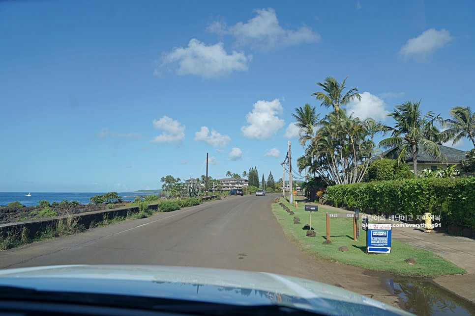 하와이 이웃섬 일일투어 카우아이 포이푸 비치 스노쿨링!