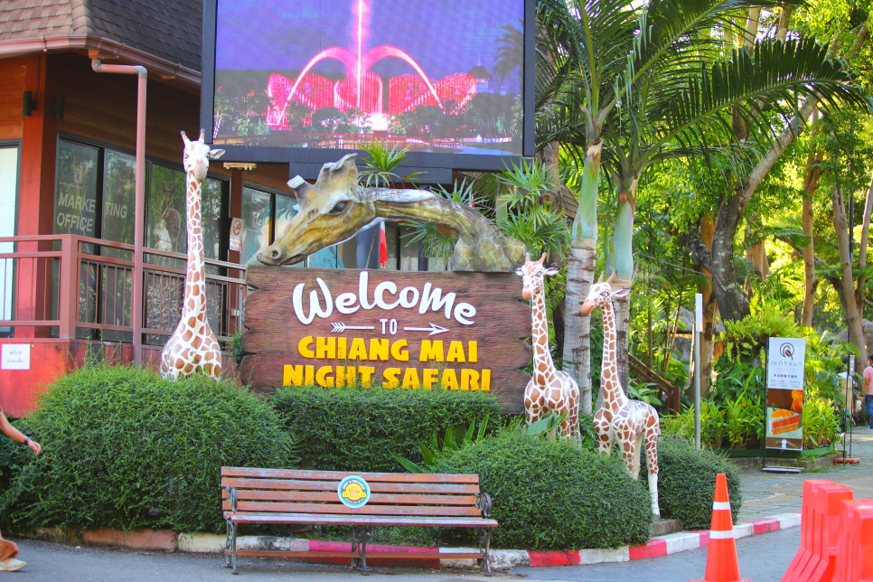 태국 자유여행 치앙마이 가볼만한곳 나이트 사파리 투어