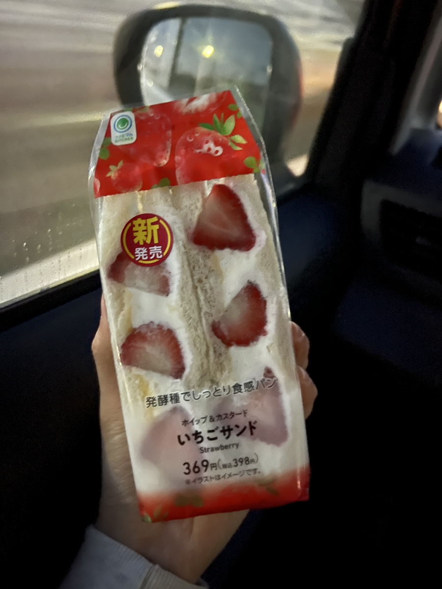 일본여행 준비물 삿포로여행 일본 유심, eSiM 유심칩 구매 방법 추천