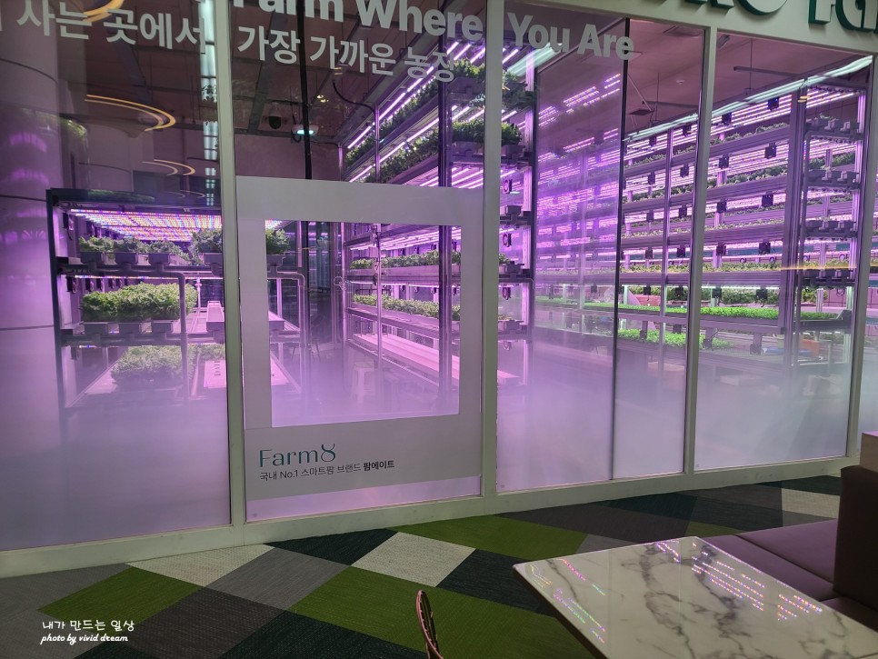 서울지하철여행 채소 키우는 상도역 메트로팜