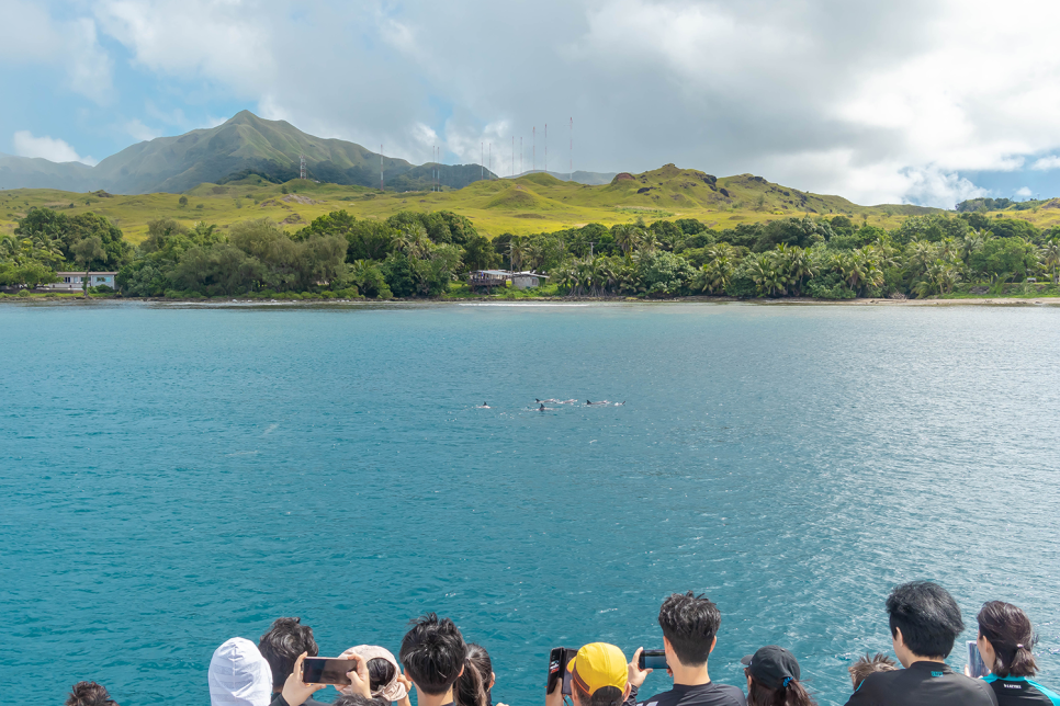 괌 자유여행 괌 돌핀크루즈 돌싱포맨 돌고래투어 나왔어요!