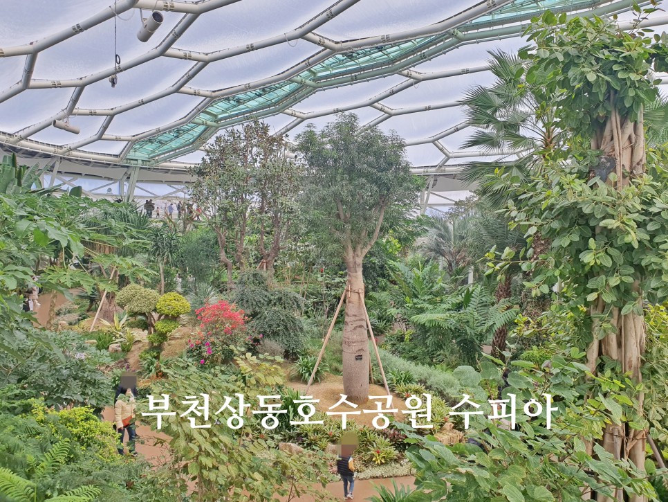 부천 상동호수공원 식물원 수피아 부천 데이트 갈만한곳