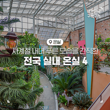 사계절 푸른 모습을 보여주는, 전국 실내 온실 BEST 4 :: 서울 식물원, 국립 세종 수목원, 안산 이풀 실내정원, 거제식물원, 온실 식물원 가볼만한