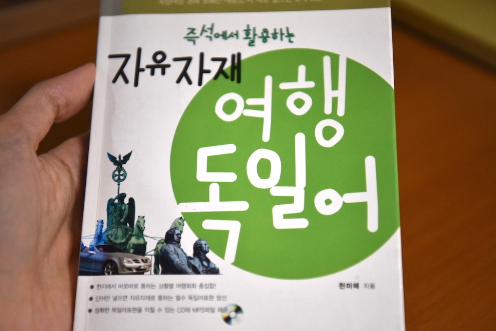 제주도 갈만한곳 제주 감귤체험 레드향 과일 가게 귤따기 체험