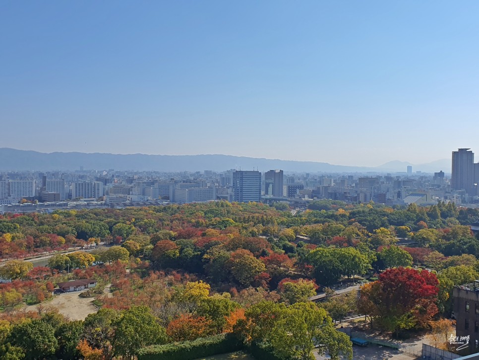 일본 오사카 자유여행 가볼만한곳 오사카성 천수각