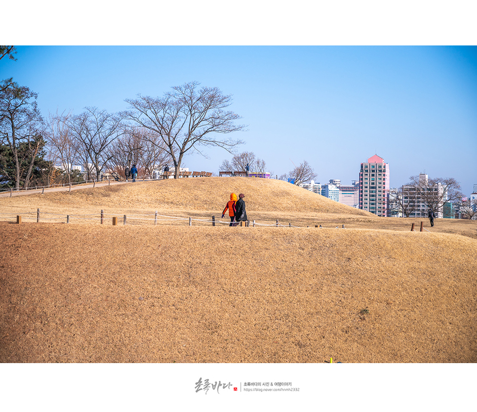 서울 여행 코스 나들이 서울 올림픽공원 나홀로나무